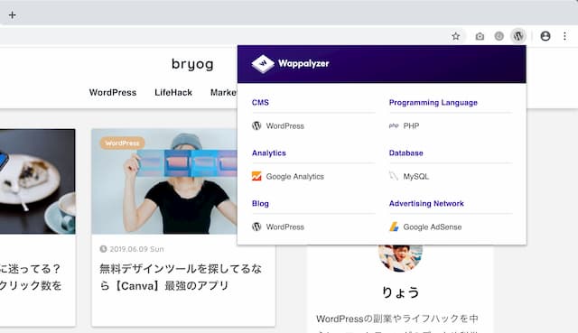 WordPress Theme