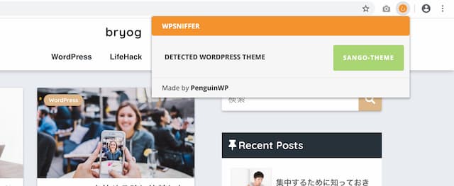 WordPress Theme