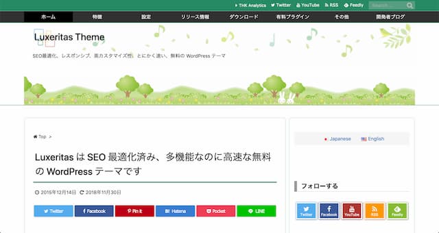 WordPress Theme