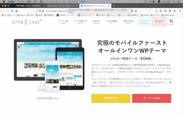 WordPress Theme