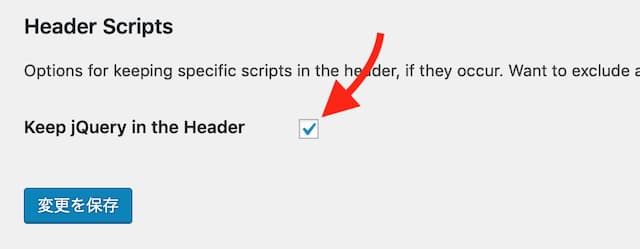 Scripts To Footer