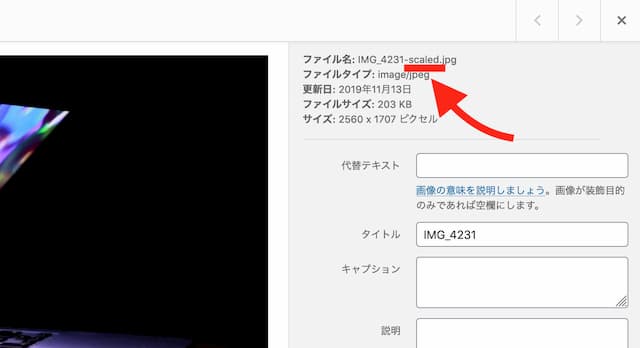 WordPress 5.3
